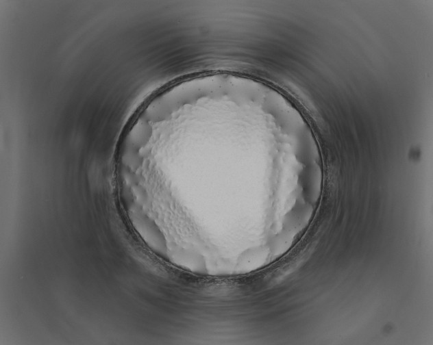 X0000094330891200711241826