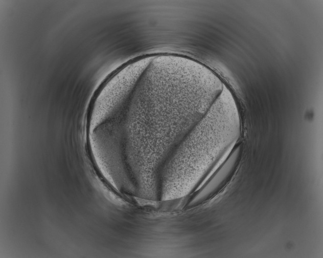 X0000094330892200711241826