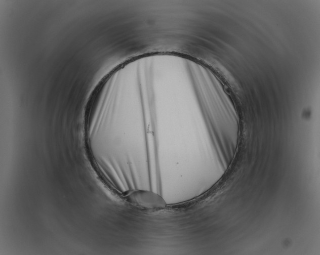 X0000094330894200711241826