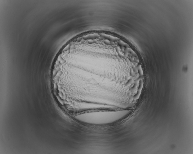 X0000094330895200711241826