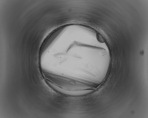 X0000094330896200711241826