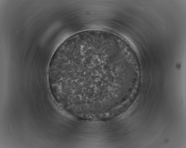 X0000094330899200711241826