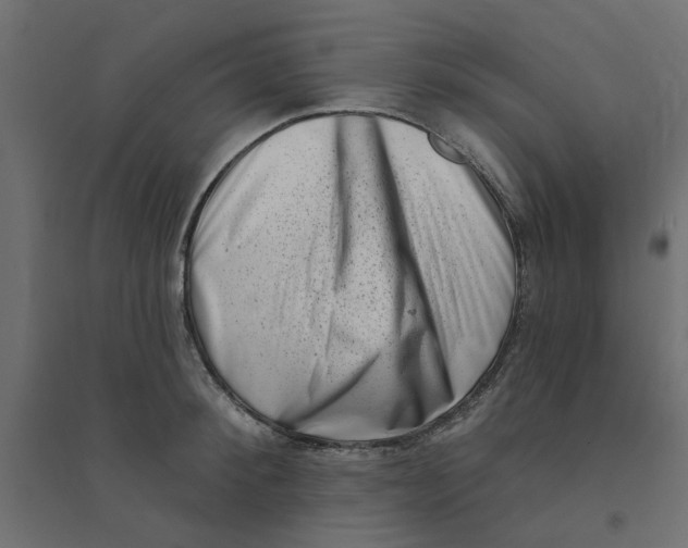 X0000094330900200711241826