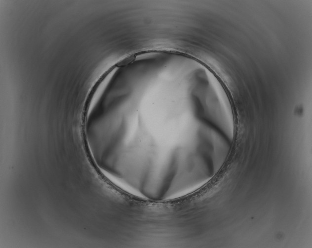 X0000094330901200711241826