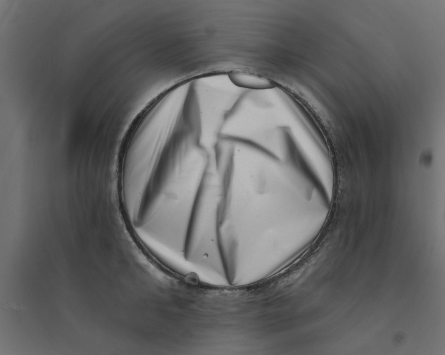 X0000094330902200711241826