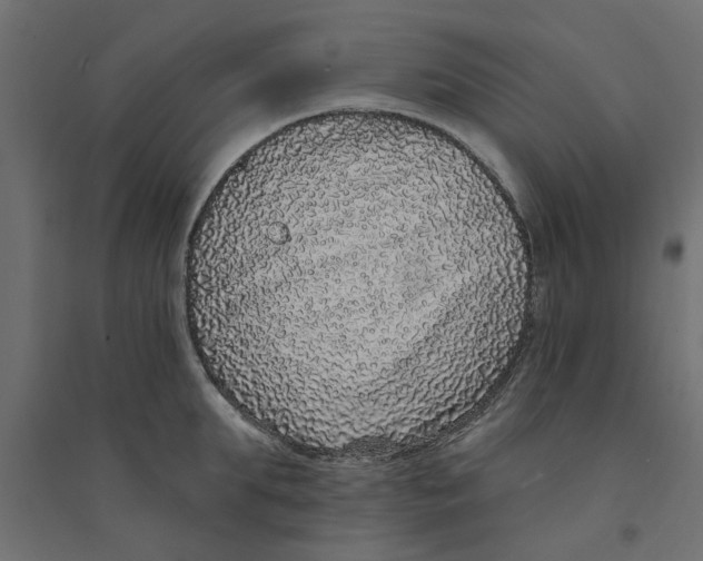 X0000094330903200711241826