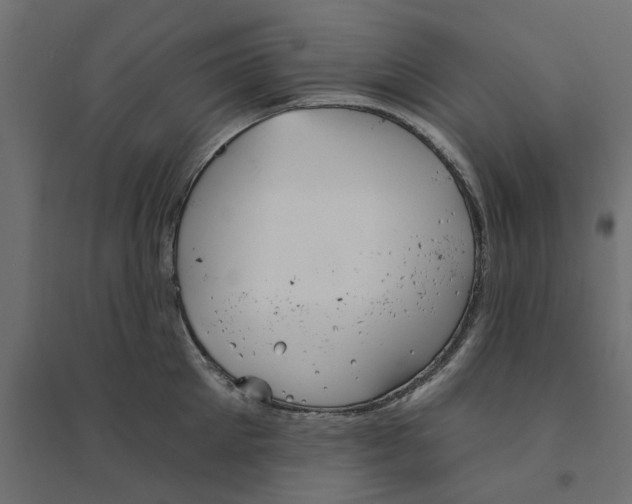 X0000094330905200711241826