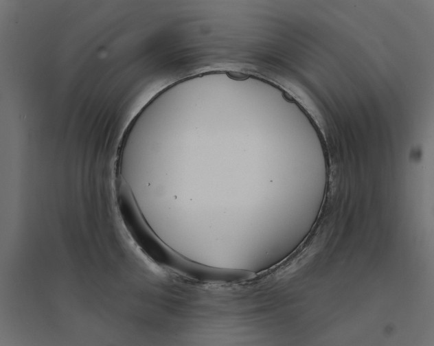 X0000094330906200711241826