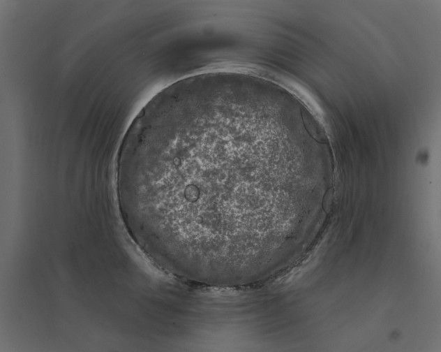 X0000094330907200711241826