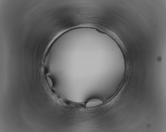 X0000094330908200711241826