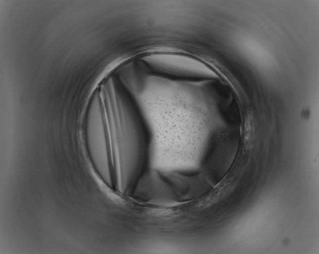 X0000094330909200711241826