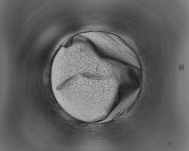 X0000094330912200711241826