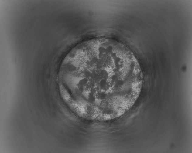 X0000094330913200711241826