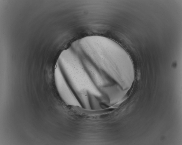 X0000094330915200711241826