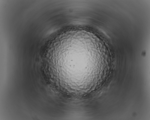 X0000094330917200711241826