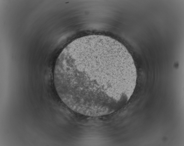 X0000094330918200711241826