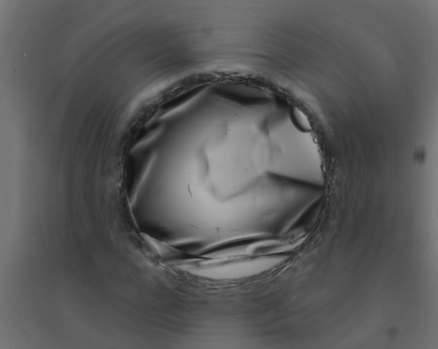 X0000094330920200711241826