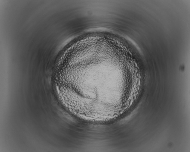 X0000094330921200711241826