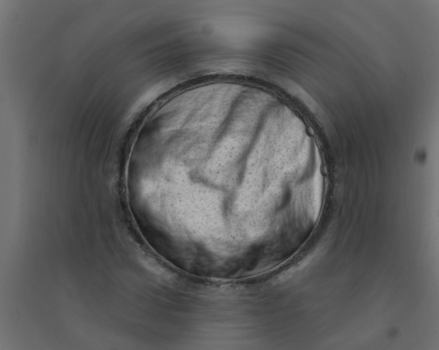 X0000094330922200711241826