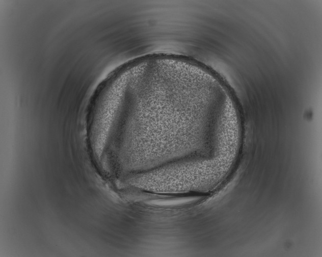 X0000094330923200711241826