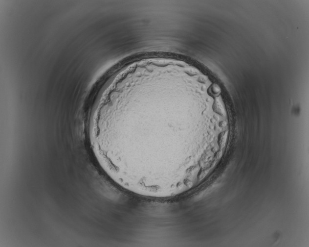 X0000094330925200711241826