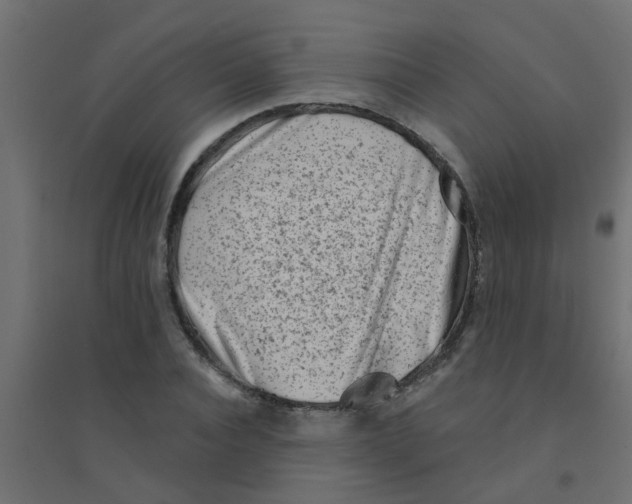 X0000094330928200711241826