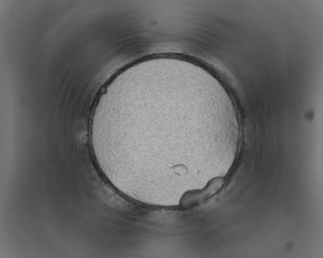 X0000094330929200711241826