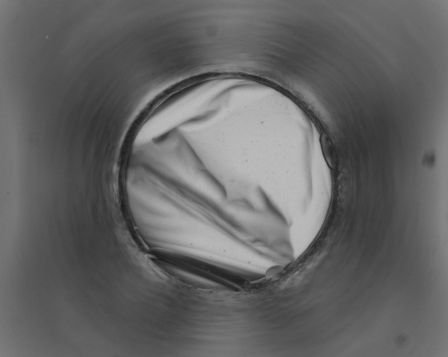 X0000094330932200711241826