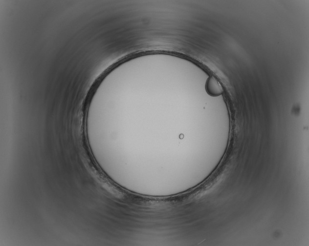 X0000094330933200711241826