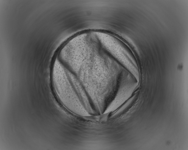 X0000094330935200711241826