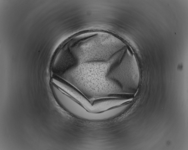 X0000094330936200711241826