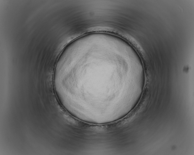 X0000094330937200711241826