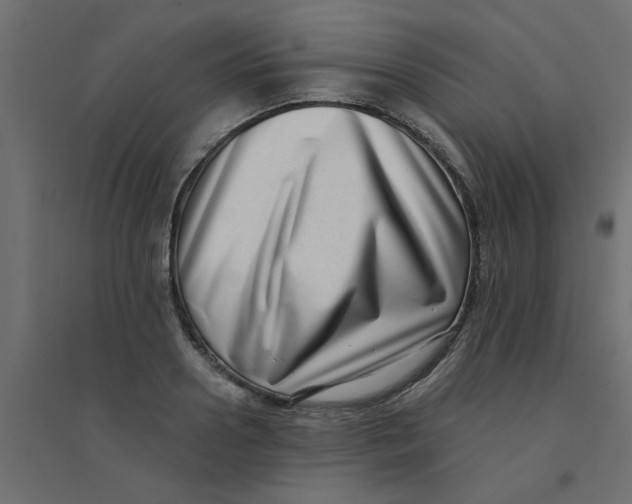 X0000094330938200711241826