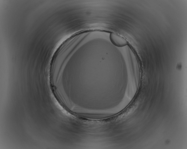 X0000094330941200711241826