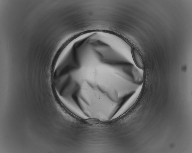 X0000094330942200711241826