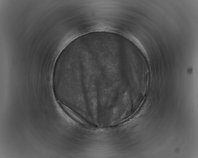 X0000094330946200711241826