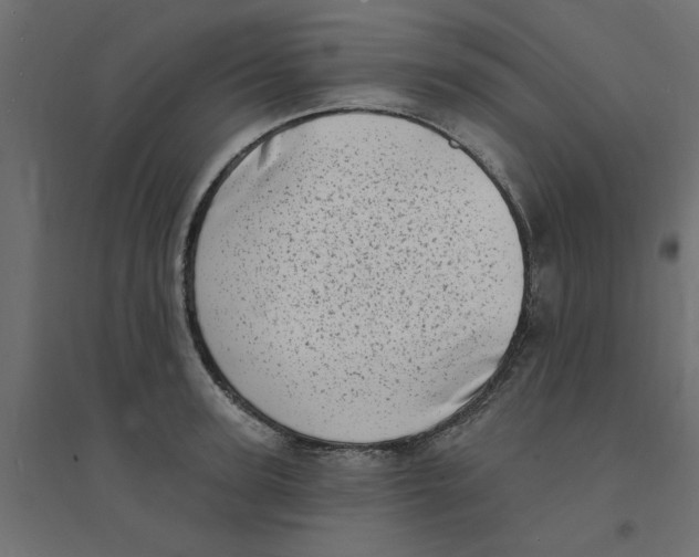 X0000094330947200711241826