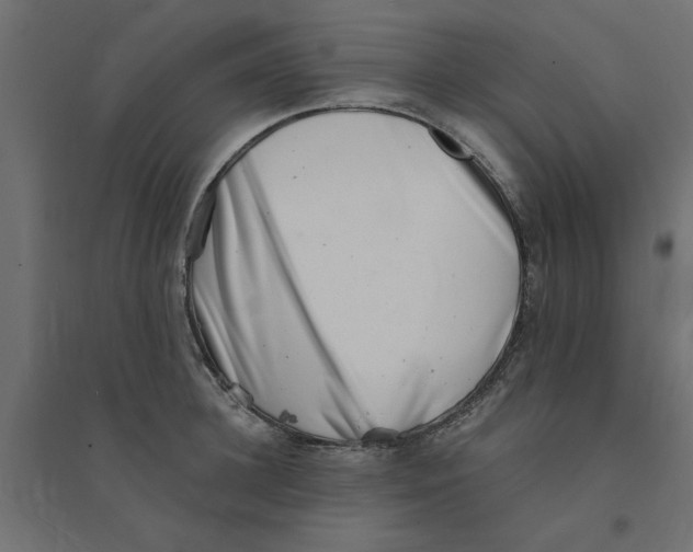 X0000094330948200711241826