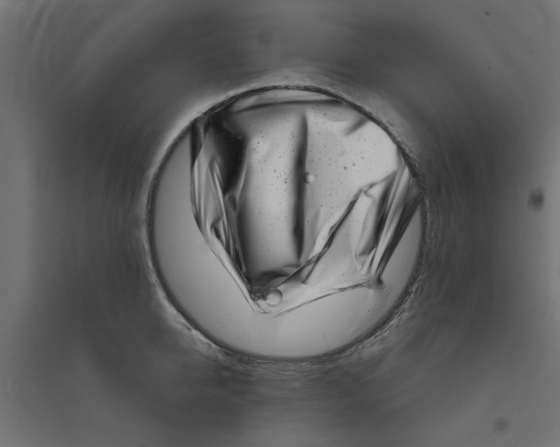 X0000094330950200711241826