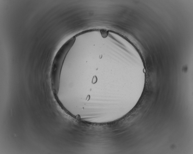 X0000094330951200711241826