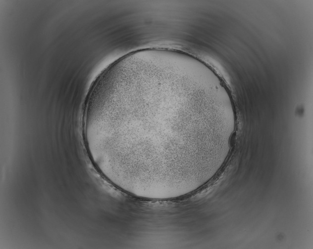 X0000094330952200711241826