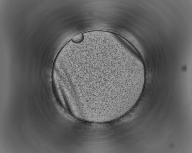 X0000094330954200711241826