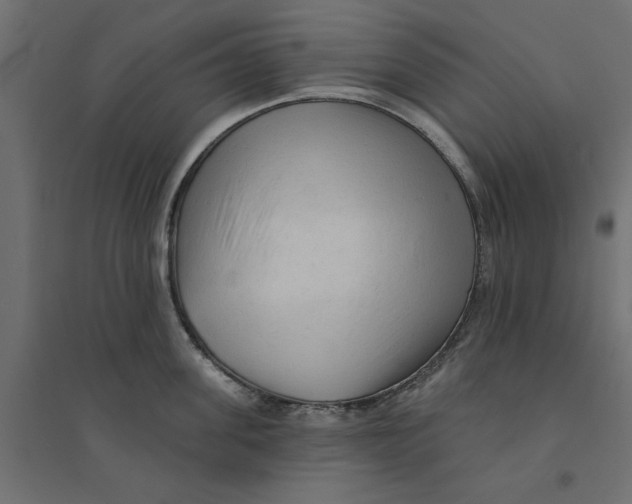 X0000094330955200711241826