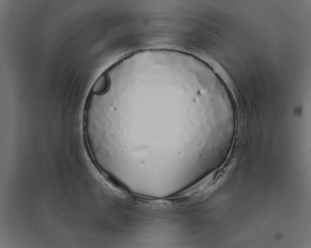 X0000094330957200711241826