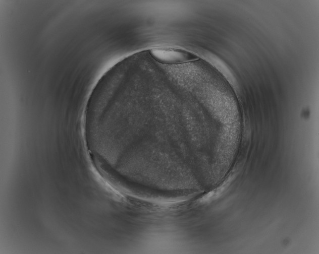 X0000094330958200711241826