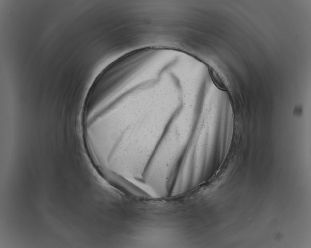 X0000094330959200711241826