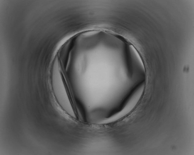 X0000094330960200711241826