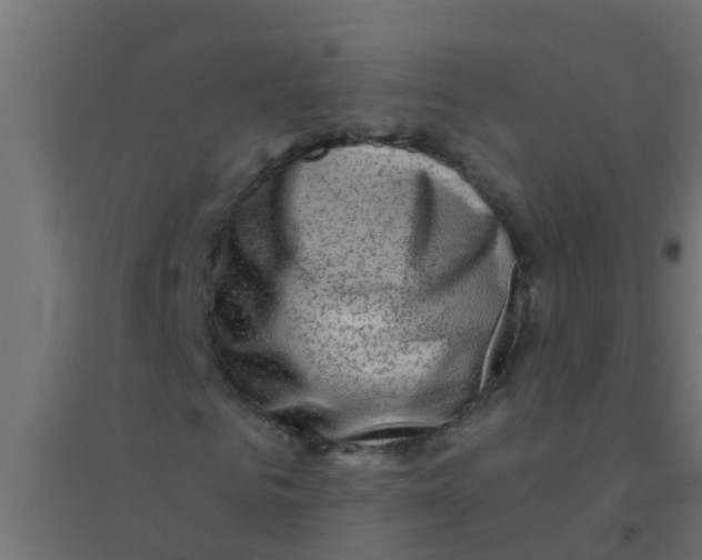 X0000094330961200711241826