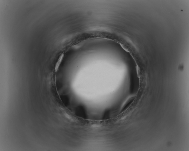 X0000094330965200711241825