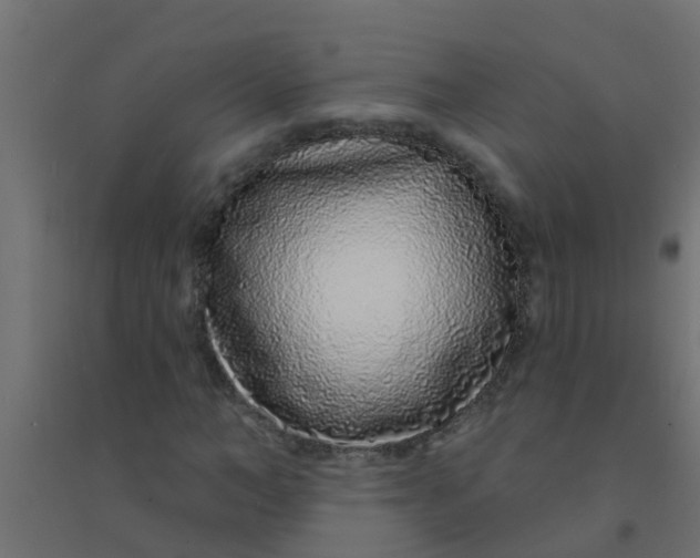 X0000094330966200711241825